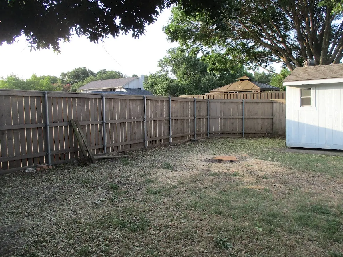 Cleared yard after professional tree removal in Edinboro